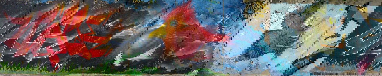 Graffiti Wall in Popovo - Photo by WILK - fird, world (2013)