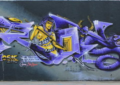 Photo #99461 by TheWallHunter