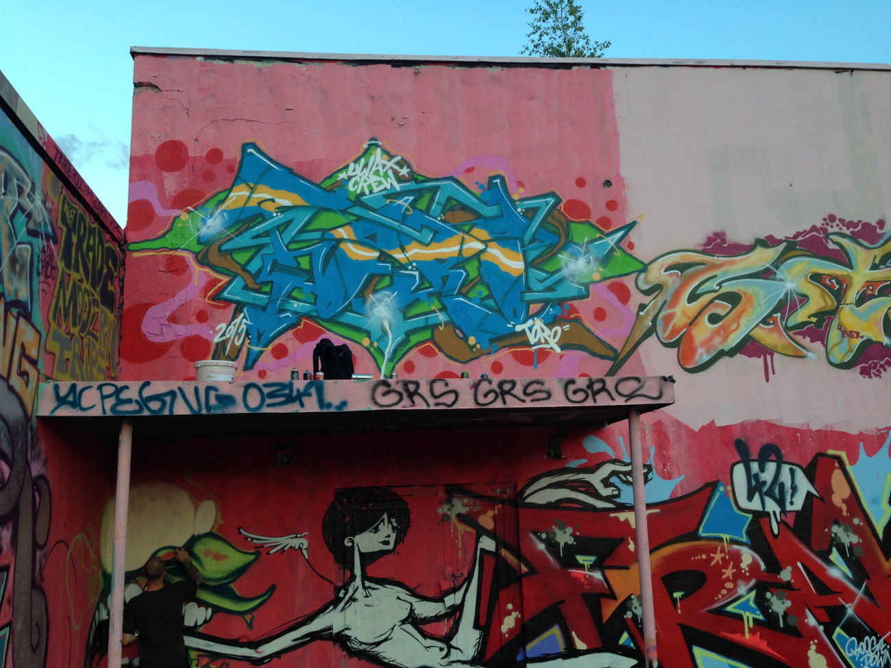 Graffiti Wall - Photo by WRITING1 - Toro, uwax (2015)