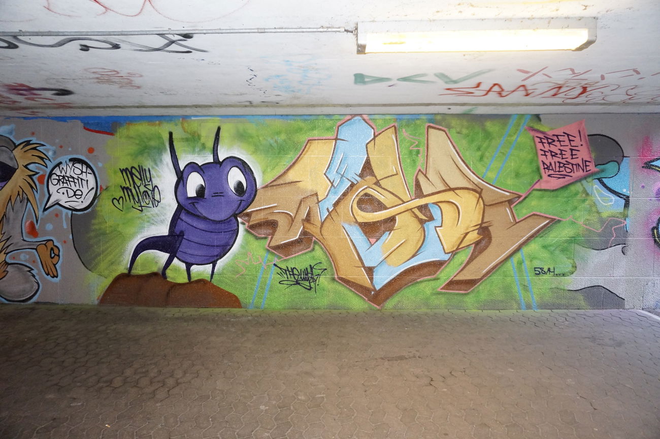 Graffiti Wall - Photo by WYSH (2013)