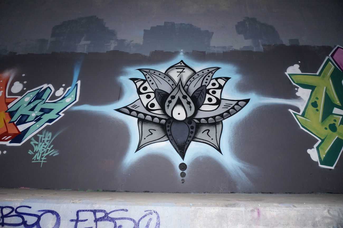 Graffiti Wall - Photo by WYSH (2016)