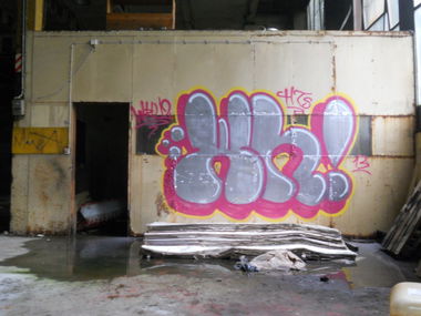 Graffiti Bombing in Bergen - Photo by Waddap1 - Throw, up, Wh! (2013)