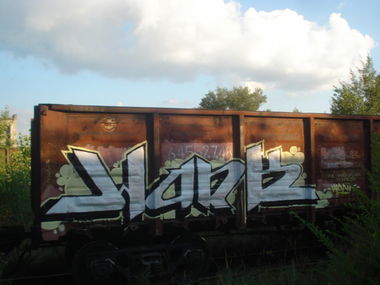 Graffiti Train in Zaporozhye - Photo by WanK89 (2013)