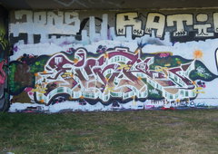 Photo #196410 by SmackOne