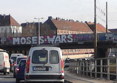 Photo #19154 by royalbone