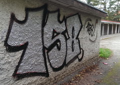 Photo #120414 by MFR