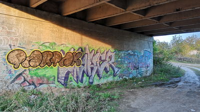 Most Active Members of December 2022