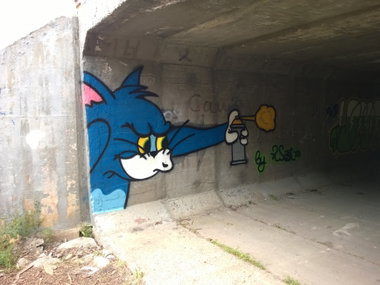 Graffiti Photo by West - Tom, TomAndJerry, Tom_And_Jerry (2015)
