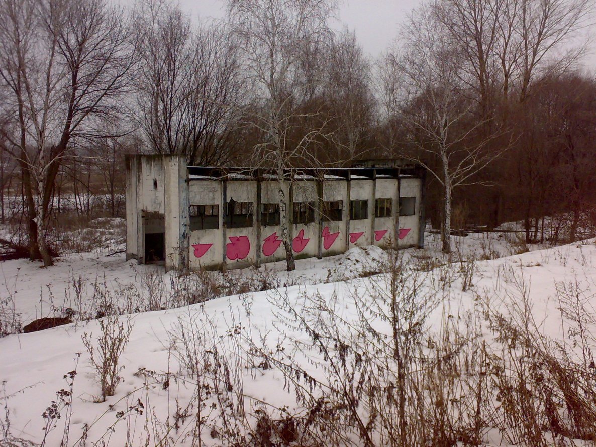 Graffiti Bombing - Photo by West (2013)