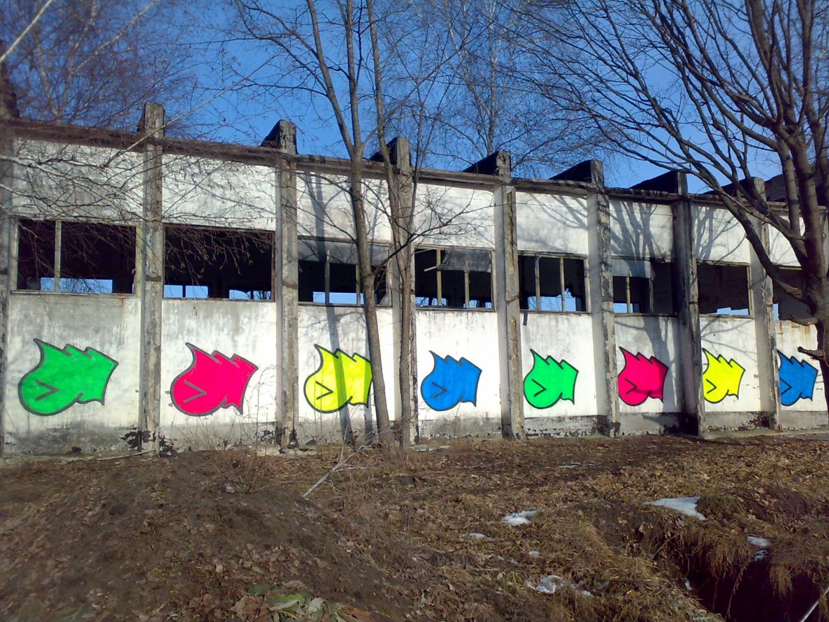 Graffiti Bombing - Photo by West (2013)