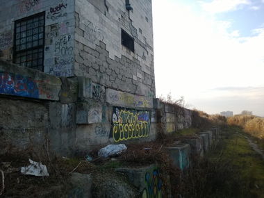 Graffiti Bombing - Photo by West (2013)