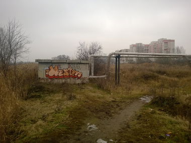 Graffiti Bombing - Photo by West (2013)