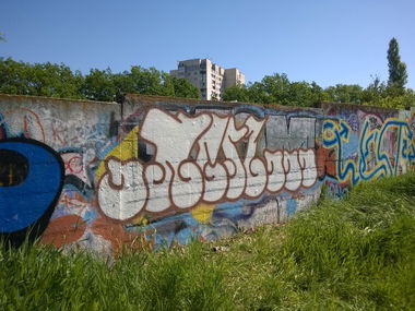 Graffiti Bombing - Photo by West (2014)