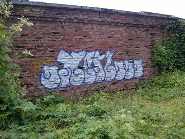 Graffiti Bombing - Photo by West (2014)