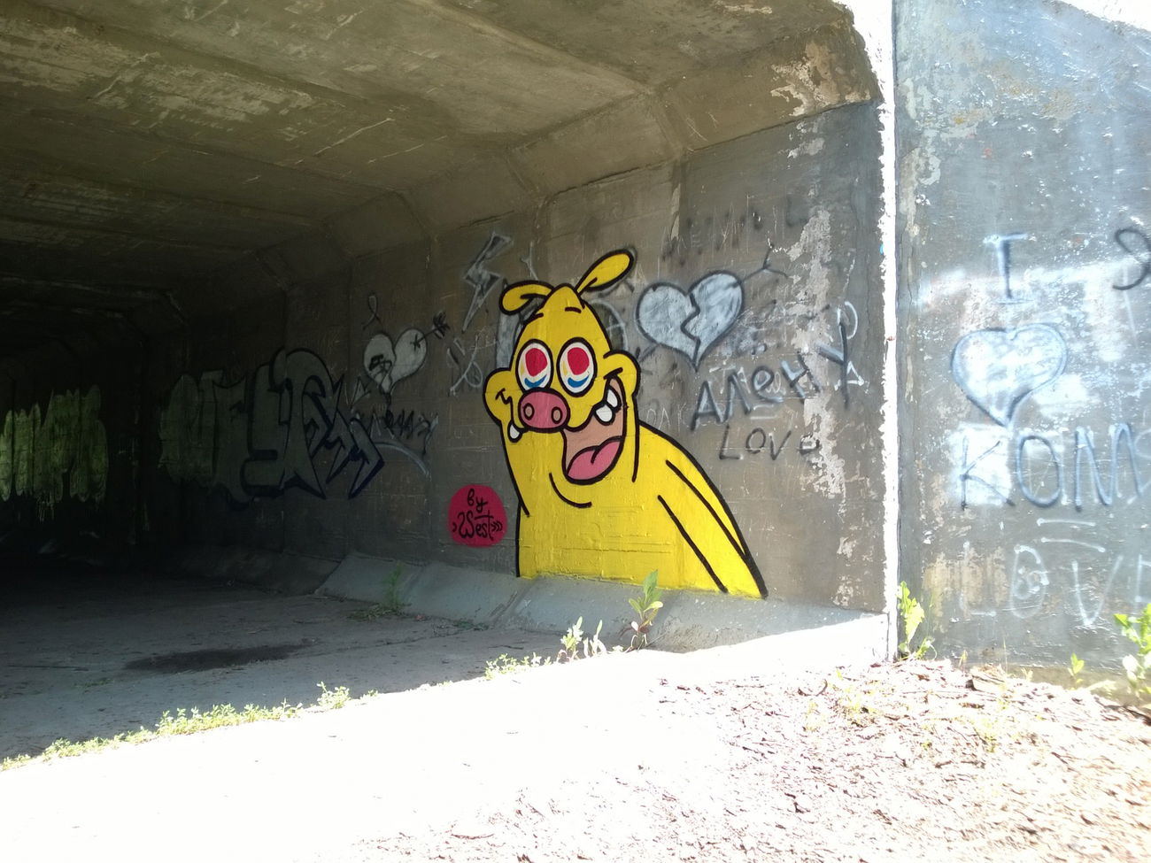 Graffiti Street Art - Photo by West - RockosModernLife, Rockos_Modern_Life, MTN (2016)