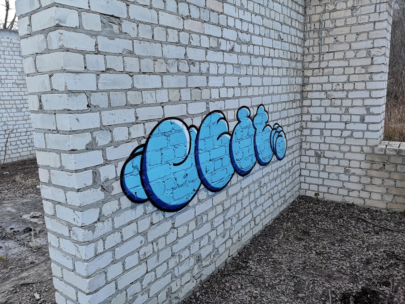 Graffiti Wall - Photo by West (2021)