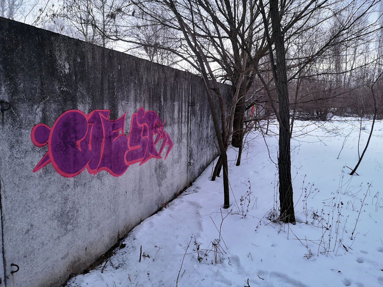 Graffiti Wall - Photo by West (2022)