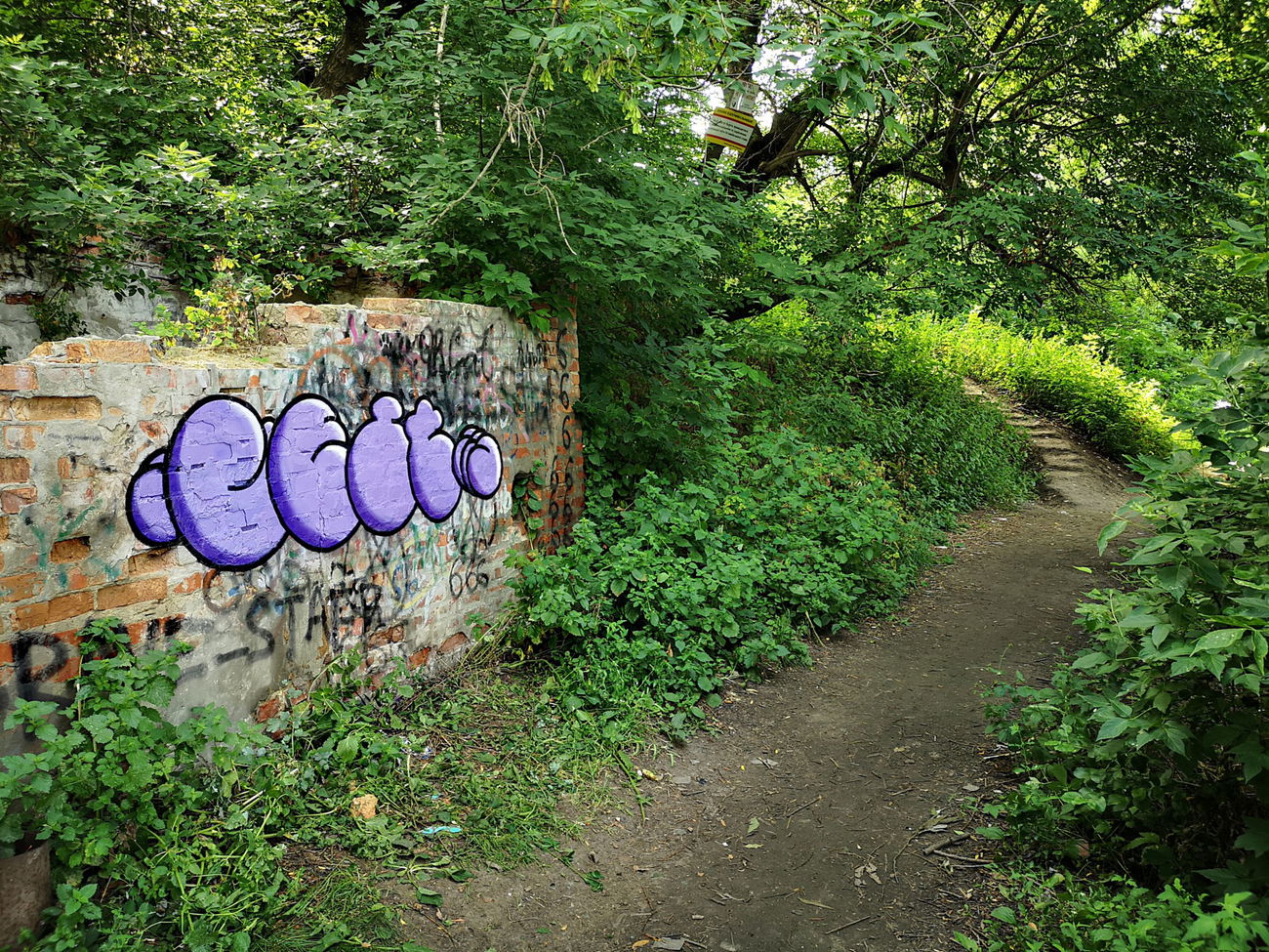 Graffiti Wall - Photo by West (2022)
