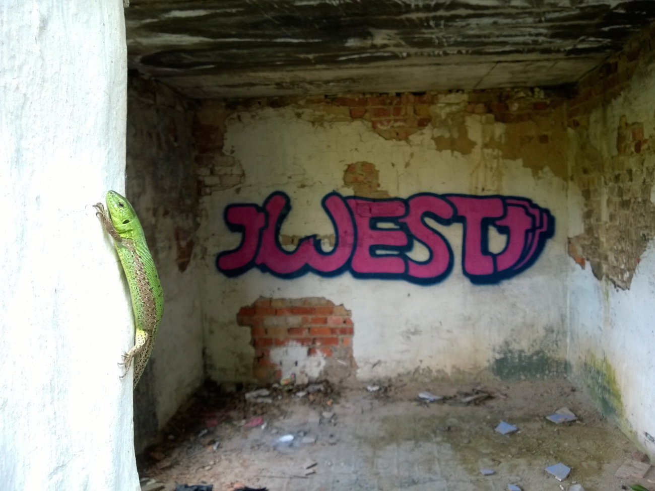 Graffiti Wall - Photo by West (2016)