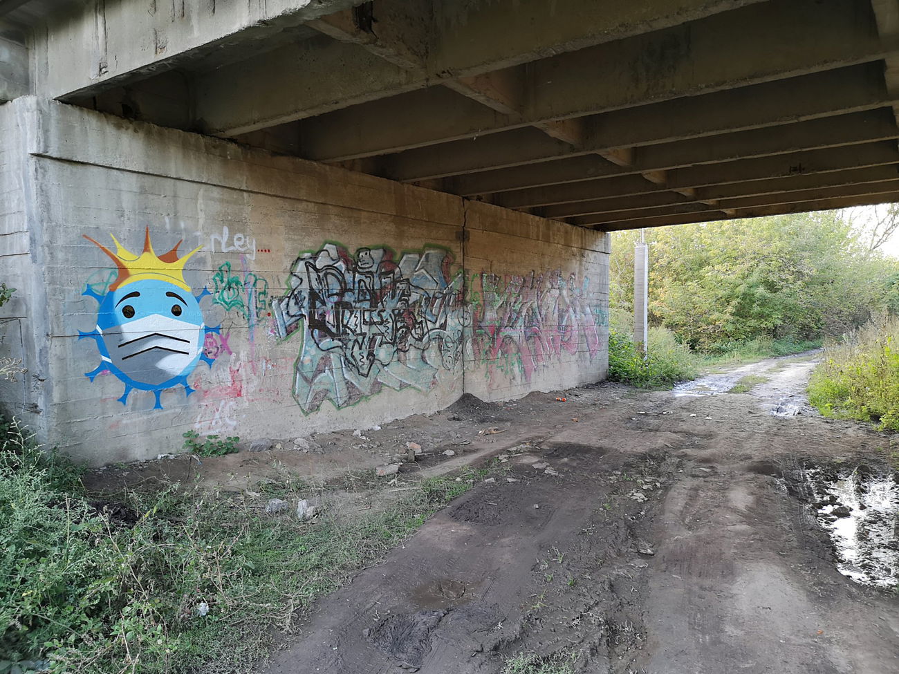 Graffiti Wall - Photo by West - Coronavirus (2022)