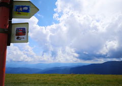 Graffiti Street Art - Photo by West - RockosModernLife, Rockos_Modern_Life, Putin (2020)