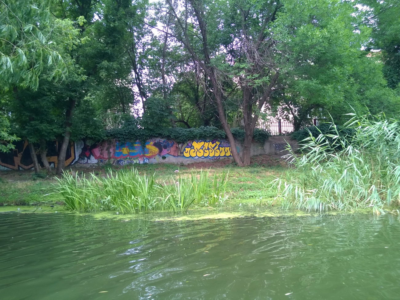 Graffiti Artwork - Photo by West (2015)