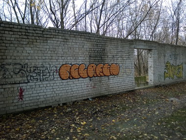 Graffiti Photo by West - McLaren (2017)