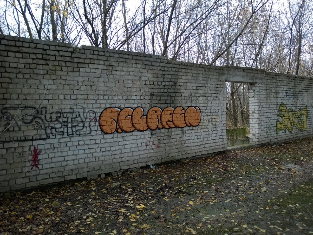 Graffiti Photo by West - McLaren (2017)