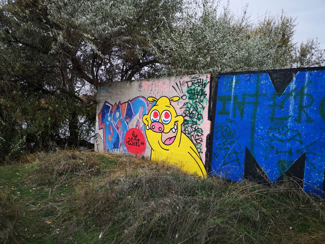 Graffiti Street Art - Photo by West - RockosModernLife (2021)