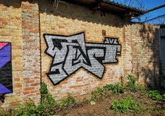 Photo #236553 by Haols