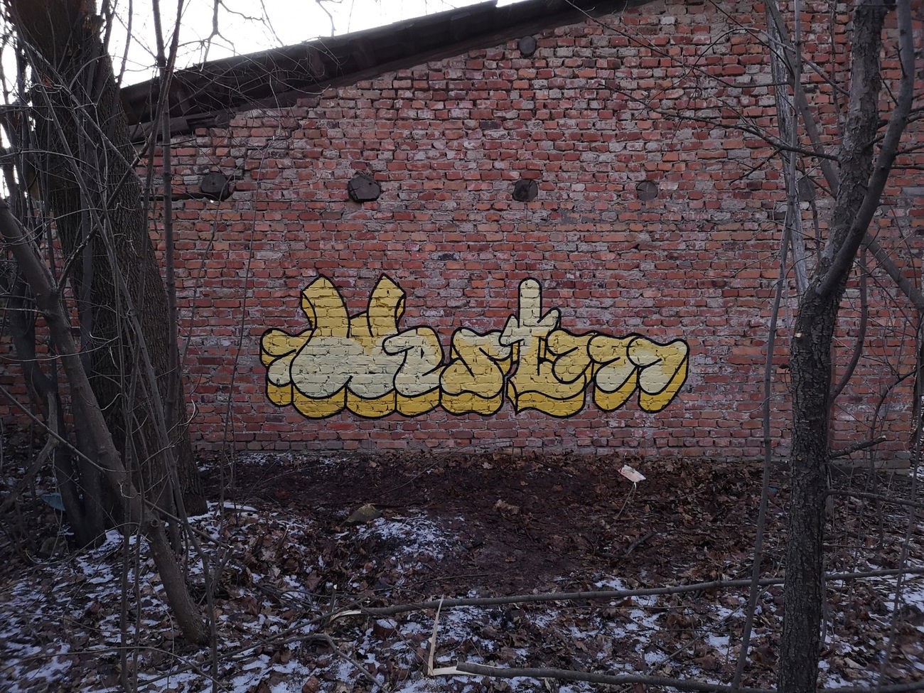 Graffiti Wall - Photo by West (2020)