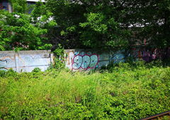 Graffiti Wall - Photo by West - 900th, 900thPiece, 900th_Piece (2022)