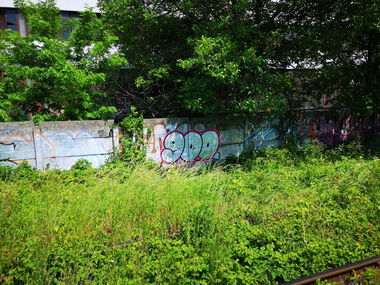 Graffiti Wall - Photo by West - 900th, 900thPiece, 900th_Piece (2022)