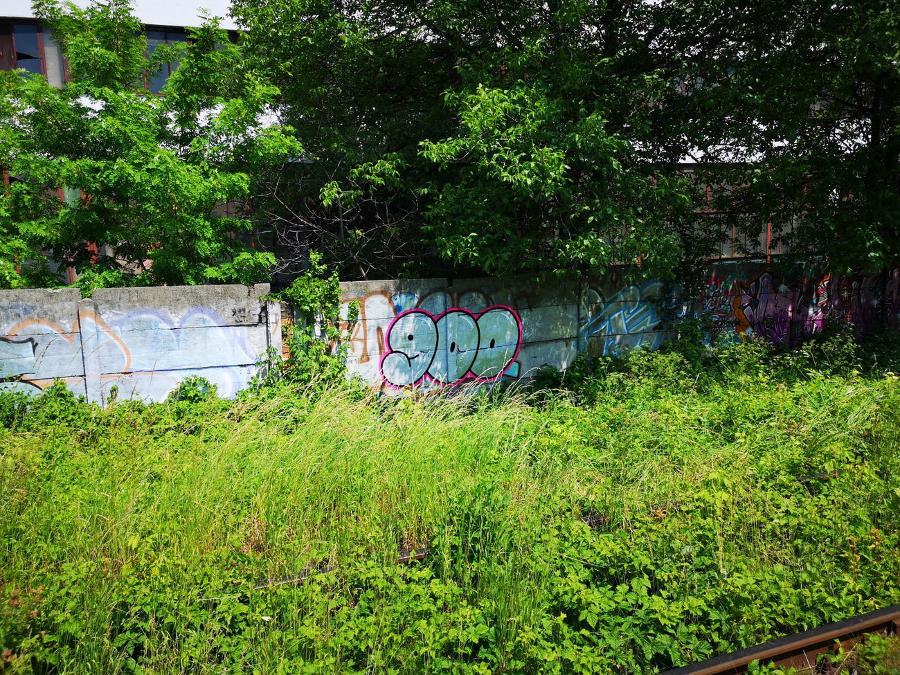 Graffiti Wall - Photo by West - 900th, 900thPiece, 900th_Piece (2022)