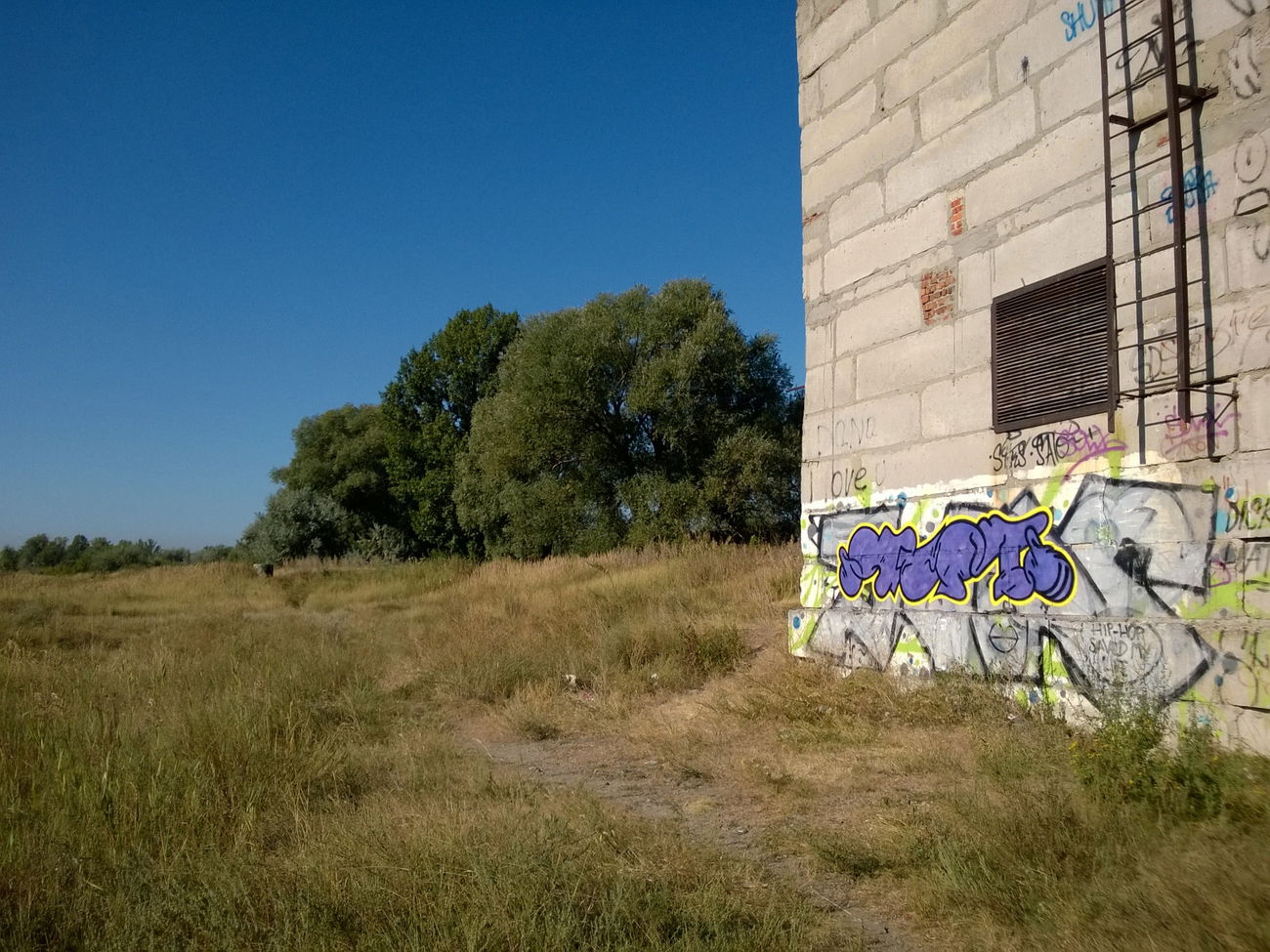 Graffiti Bombing - Photo by West (2015)