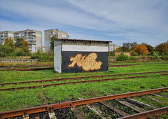 Graffiti Wall - Photo by West - McLaren (2022)