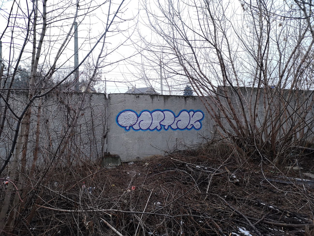 Graffiti Wall - Photo by West - Tartak (2020)