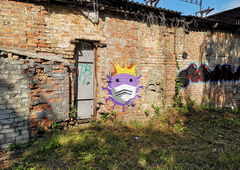Graffiti Street Art - Photo by West - Coronavirus (2022)
