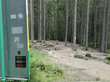 Graffiti Street Art - Photo by West (2021)