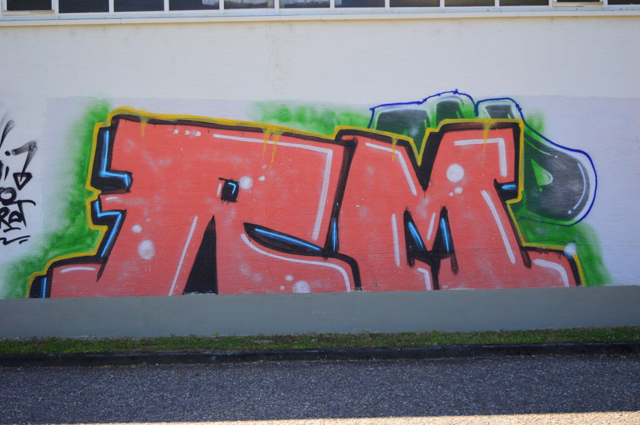 Graffiti Bombing - Photo by WhiteBoy77 - Rm (2015)