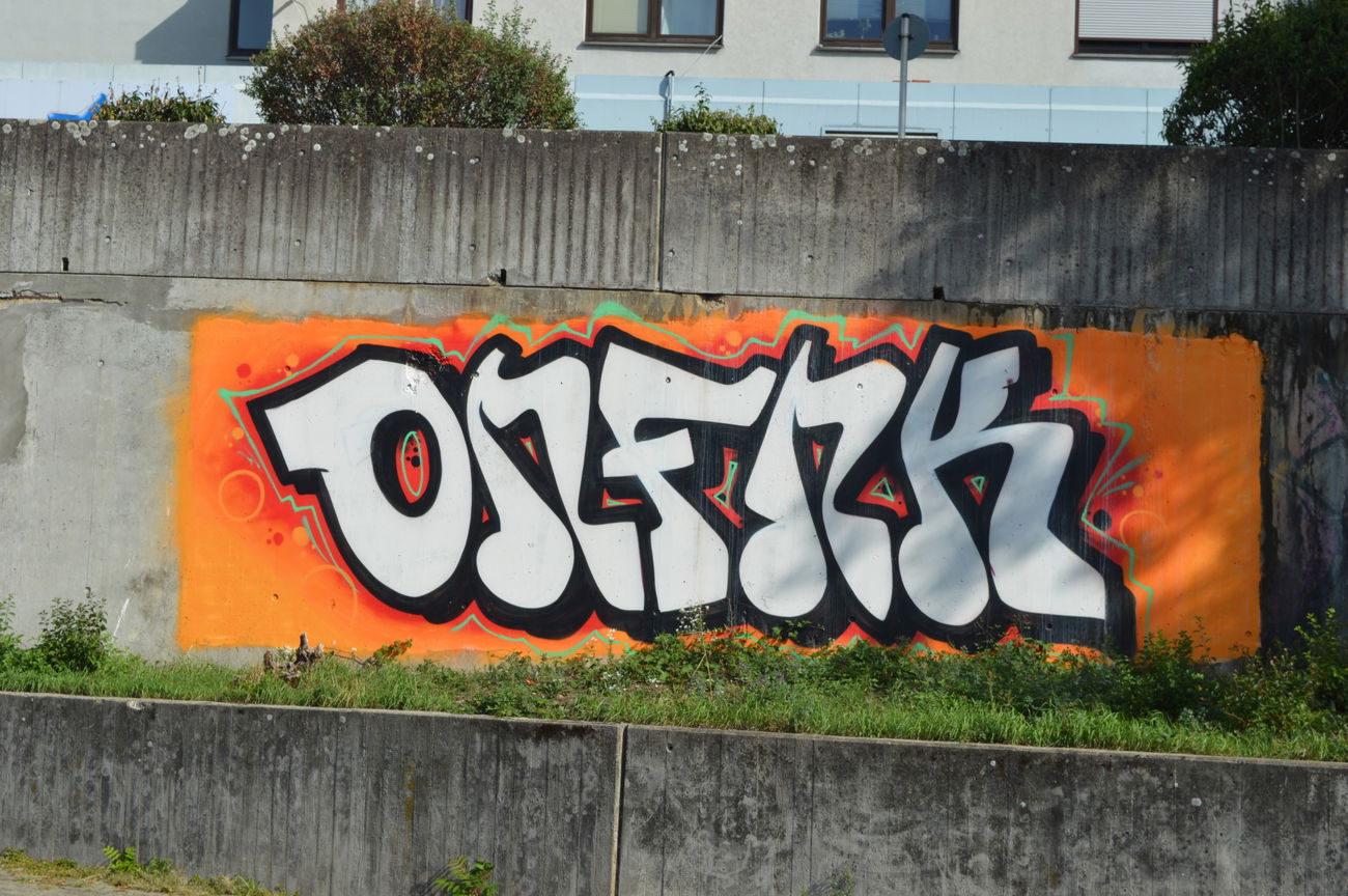 Graffiti Bombing - Photo by WhiteBoy77 - onf, nk, rm (2015)