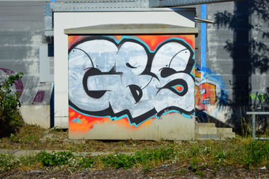 Graffiti Bombing - Photo by WhiteBoy77 - GBS (2015)