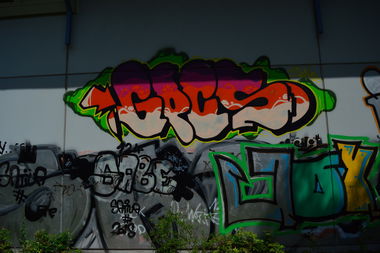 Graffiti Bombing - Photo by WhiteBoy77 - GPCS, GPC (2015)
