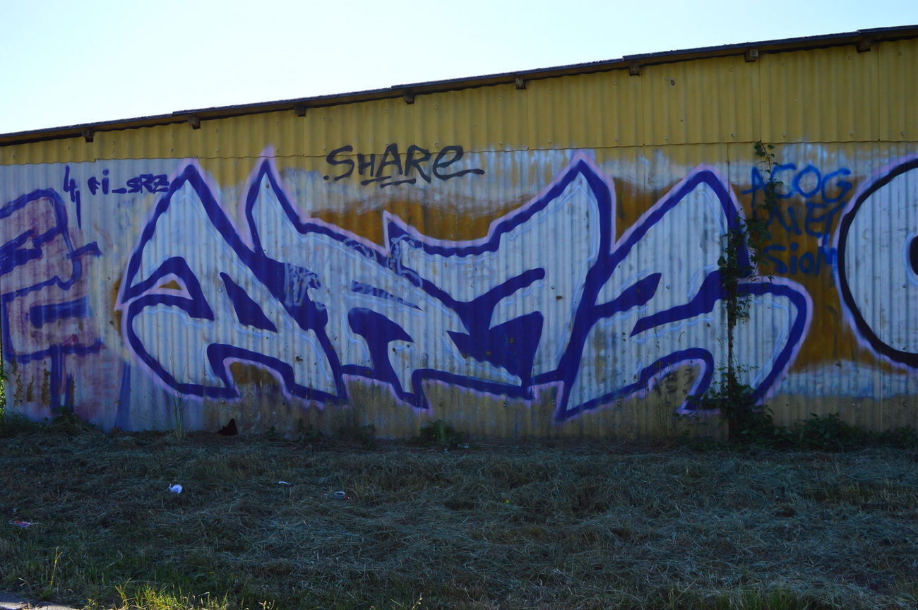 Graffiti Bombing - Photo by WhiteBoy77 - DR, 72 (2015)
