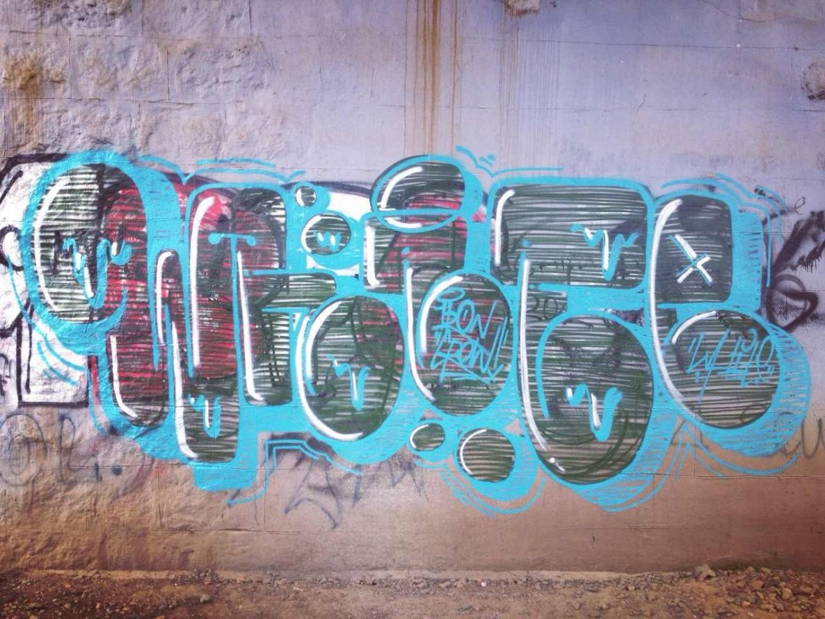 Graffiti Bombing - Photo by Whiteone - white (2013)