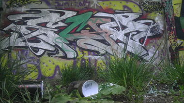 Graffiti Wall in Tübingen - Photo by WhoKares - RestkannenMassaker, Wildlife (2014)