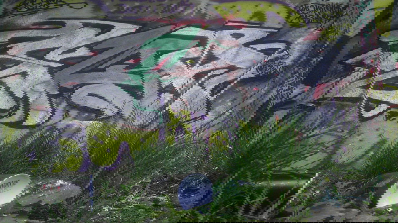 Graffiti Wall in Tübingen - Photo by WhoKares - RestkannenMassaker, Wildlife (2014)