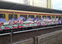 Photo #182772 by Belt