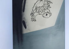 Photo #180737 by Razor