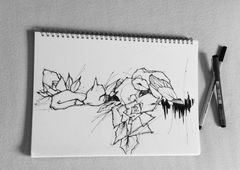 Photo #180739 by TrompeterPeter